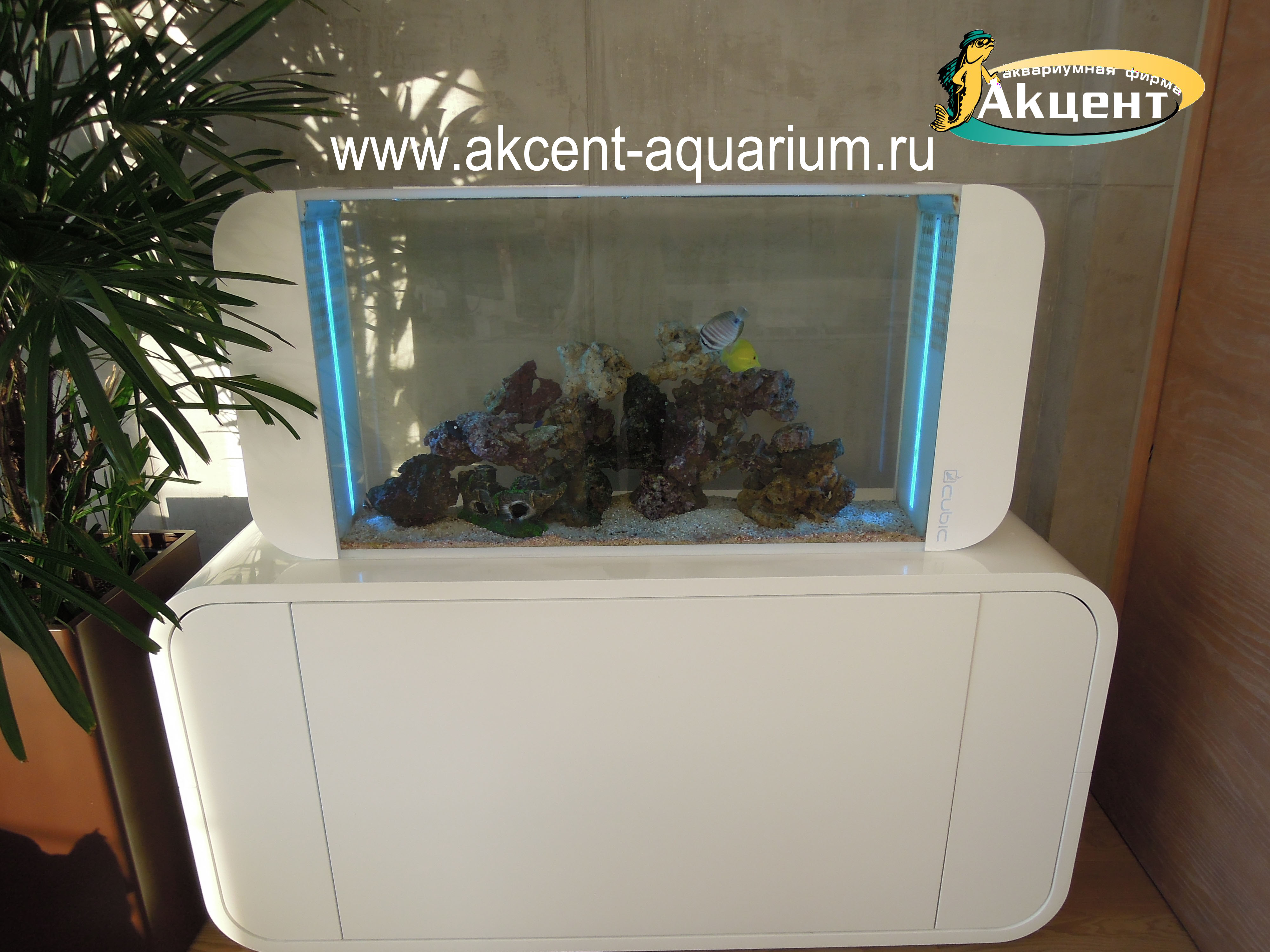 Акцент-аквариум, аквариум морской барабанный 120 литров